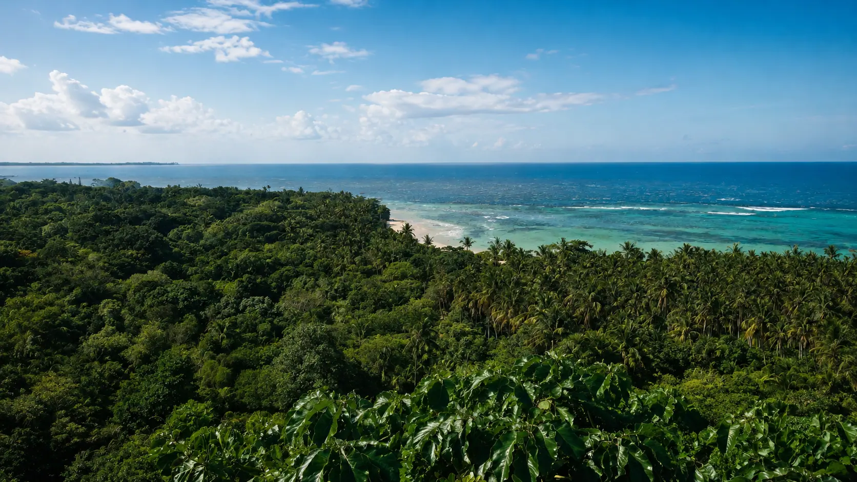 Mirante sobre a Mata Atlântica e o mar em Arraial d'Ajuda